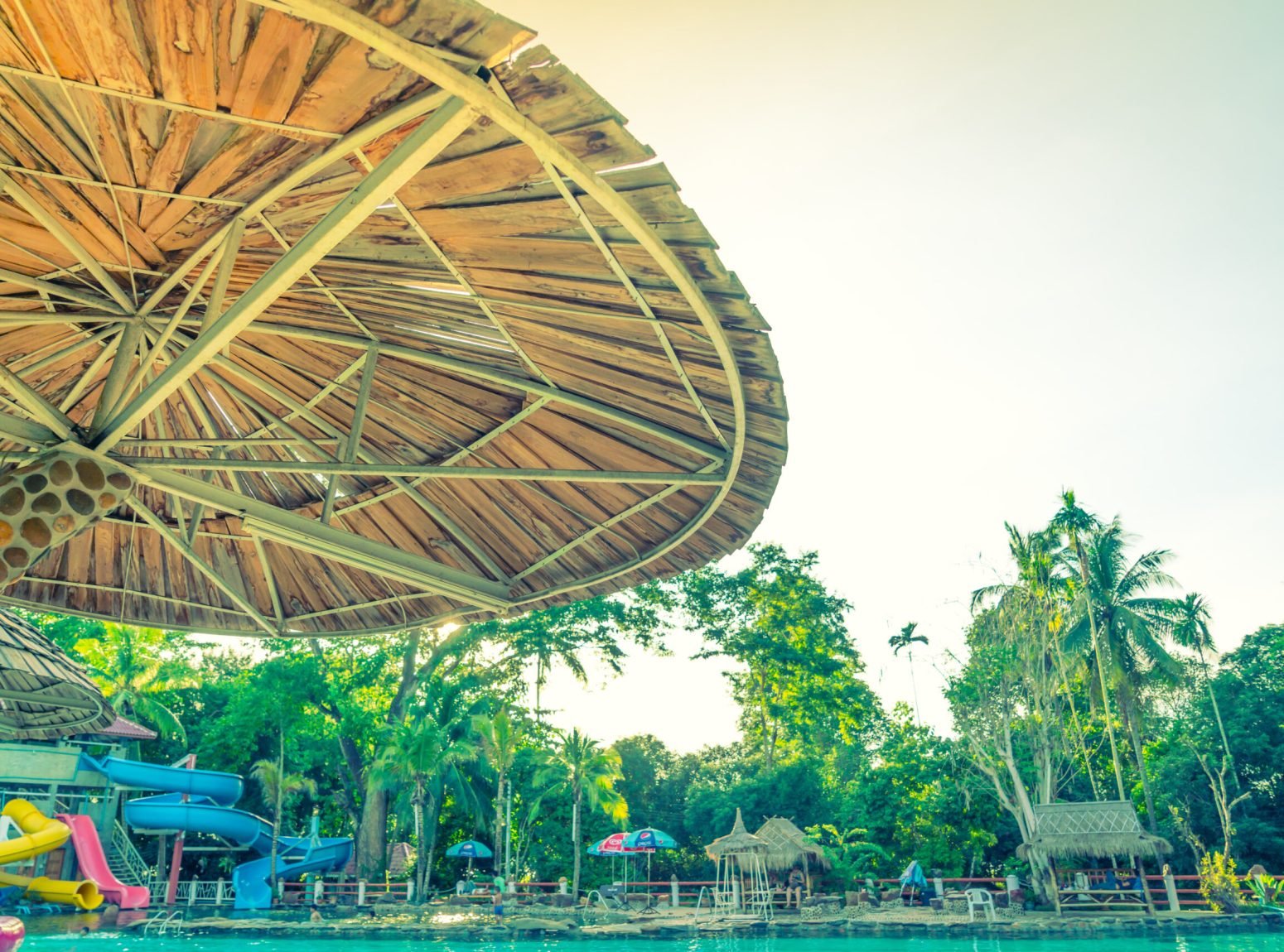 Wood roof and a swimming pool